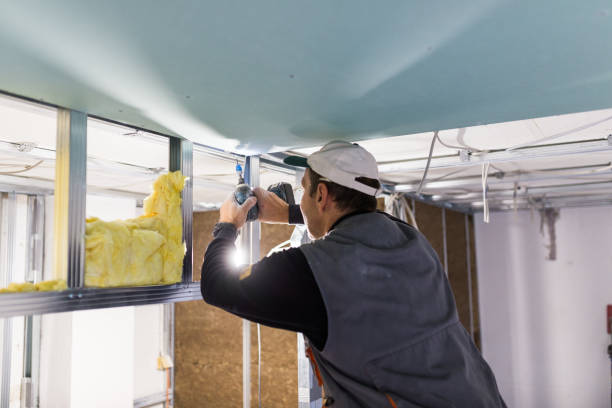 Best Insulation Contractors for Homes  in Magnolia, OH