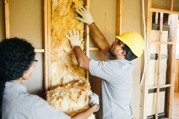 Best Spray Foam Insulation  in Magnolia, OH