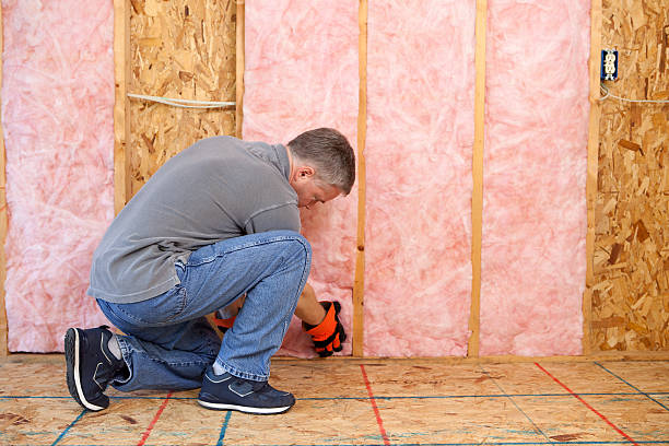 Best Insulation Inspection Services  in Magnolia, OH